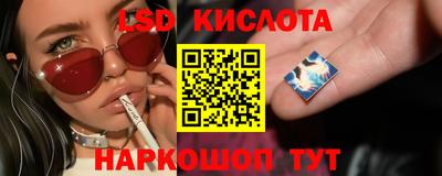 Альфа ПВП Кунгур