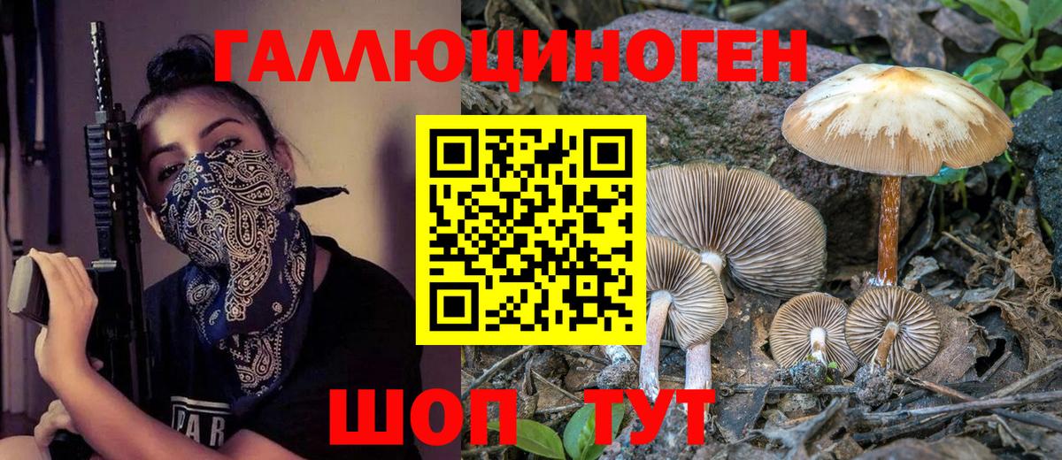 Галлюциногенные грибы Psilocybe  Вход с VPN  Урай 
